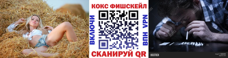 COCAIN FishScale  Купить где  Менделеевск 